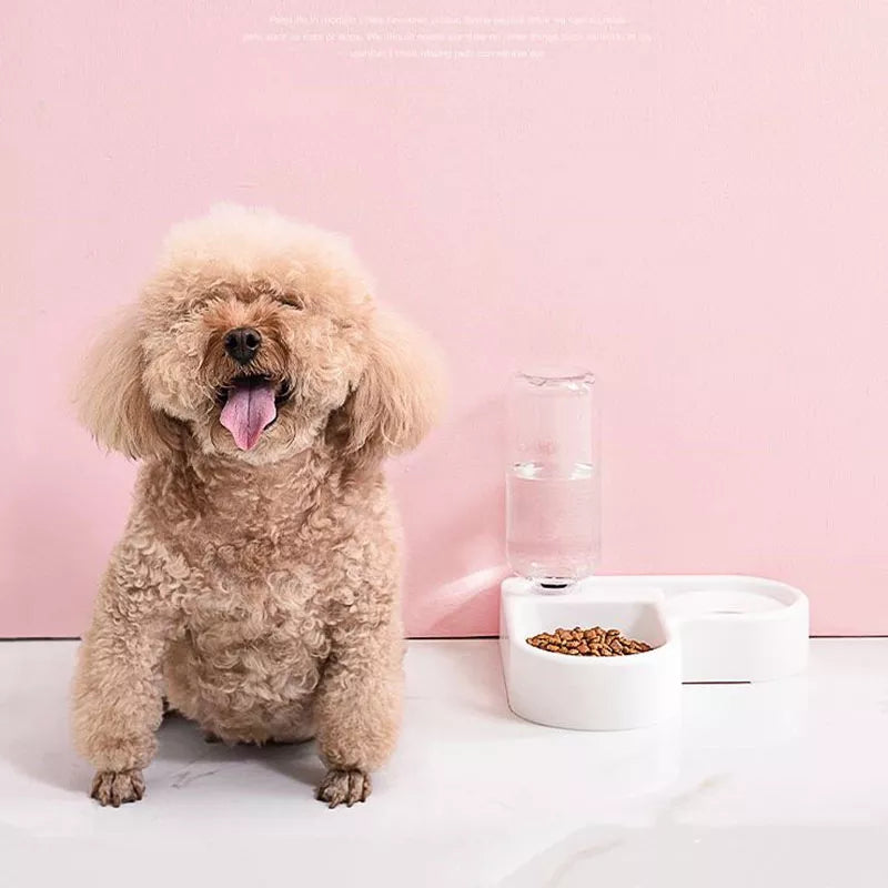 2 in 1 Water And Pet Food Dispenser