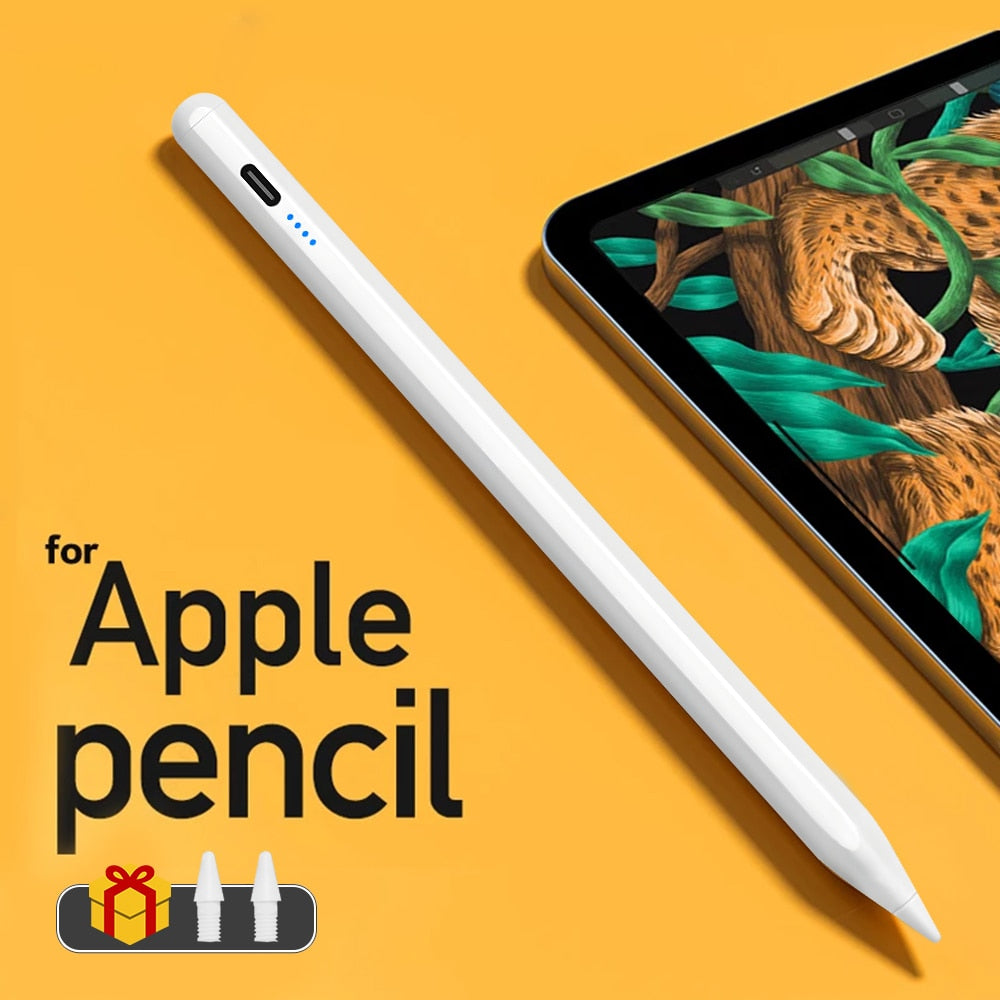 Stylus Pen for Ipad