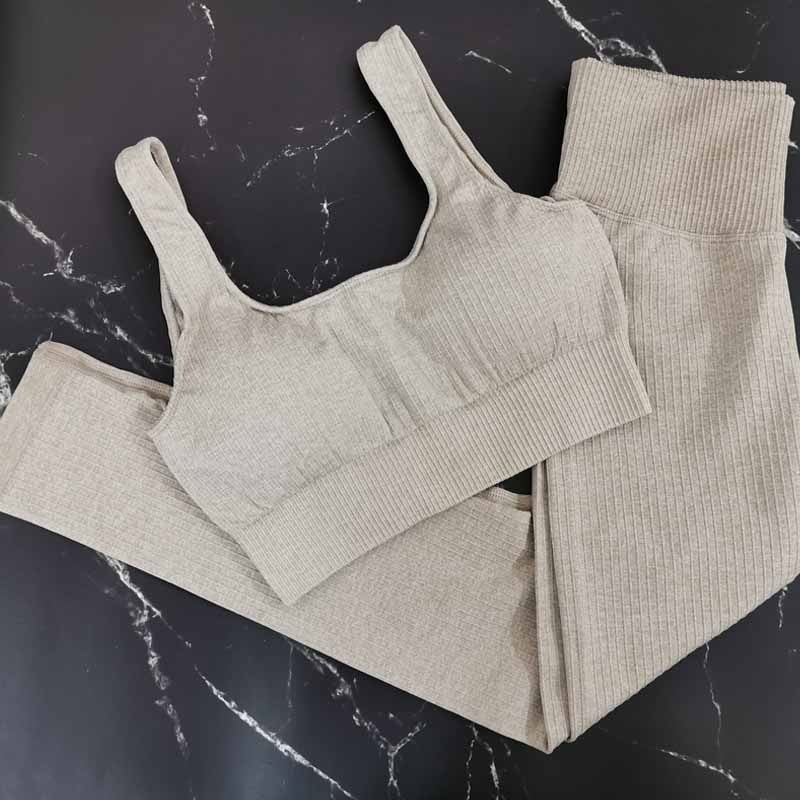 2 Piece Seamless Workout Set