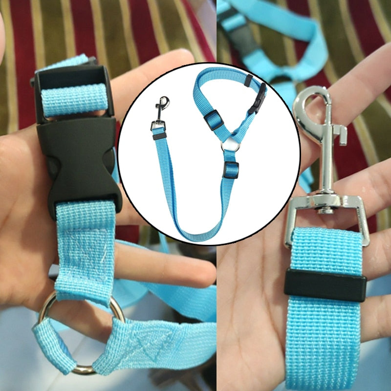 Two-in-one Pet Car Seat/Leash