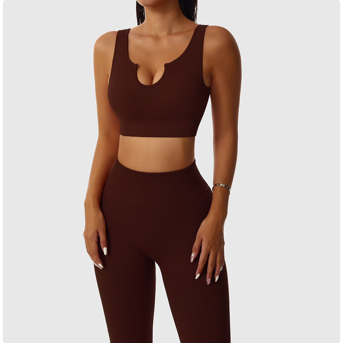2 Piece Seamless Workout Set