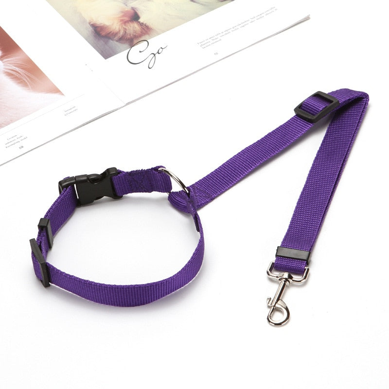 Two-in-one Pet Car Seat/Leash