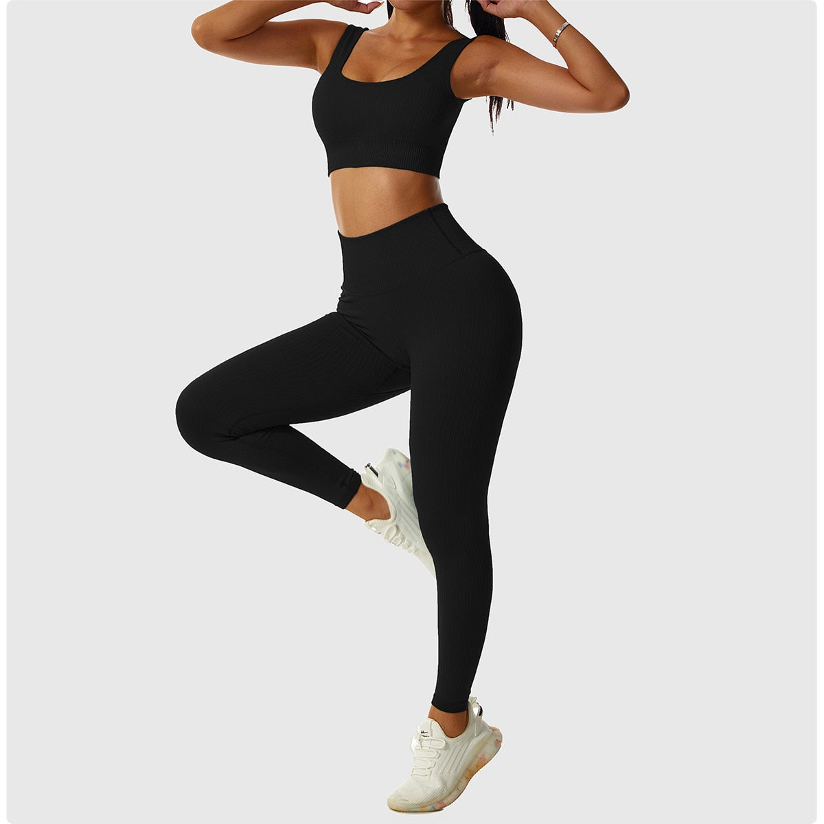 2 Piece Seamless Workout Set