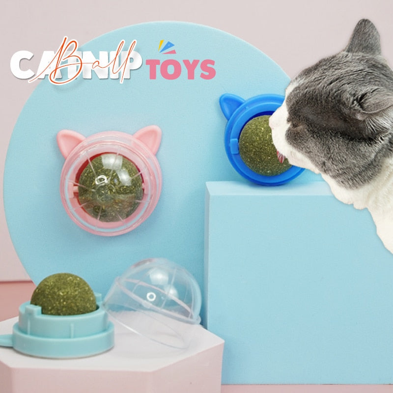Catnip Wall Roller Ball