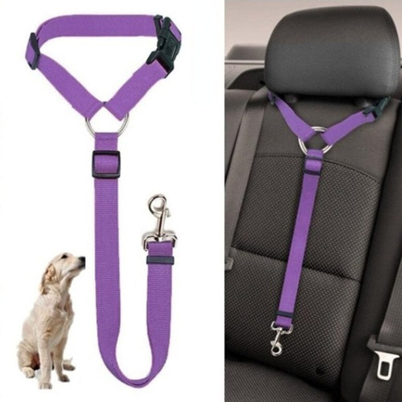 Two-in-one Pet Car Seat/Leash