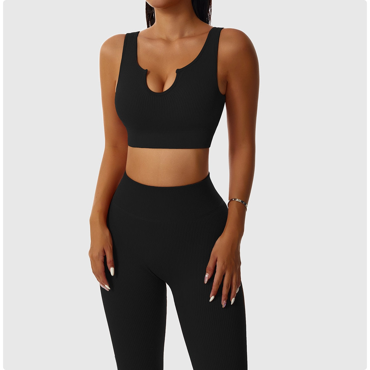 2 Piece Seamless Workout Set