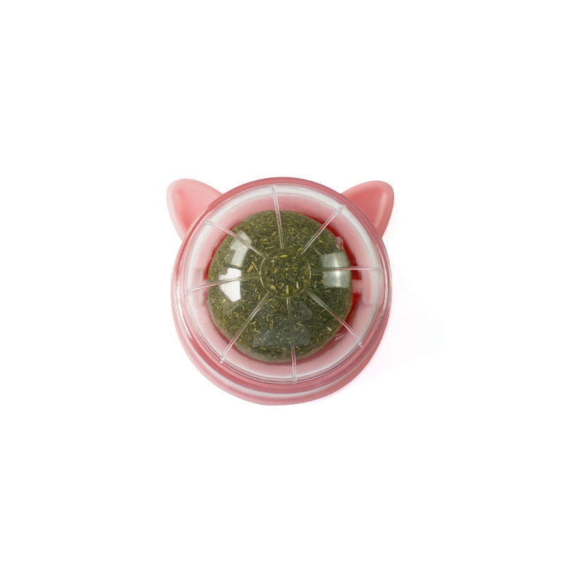 Catnip Wall Roller Ball