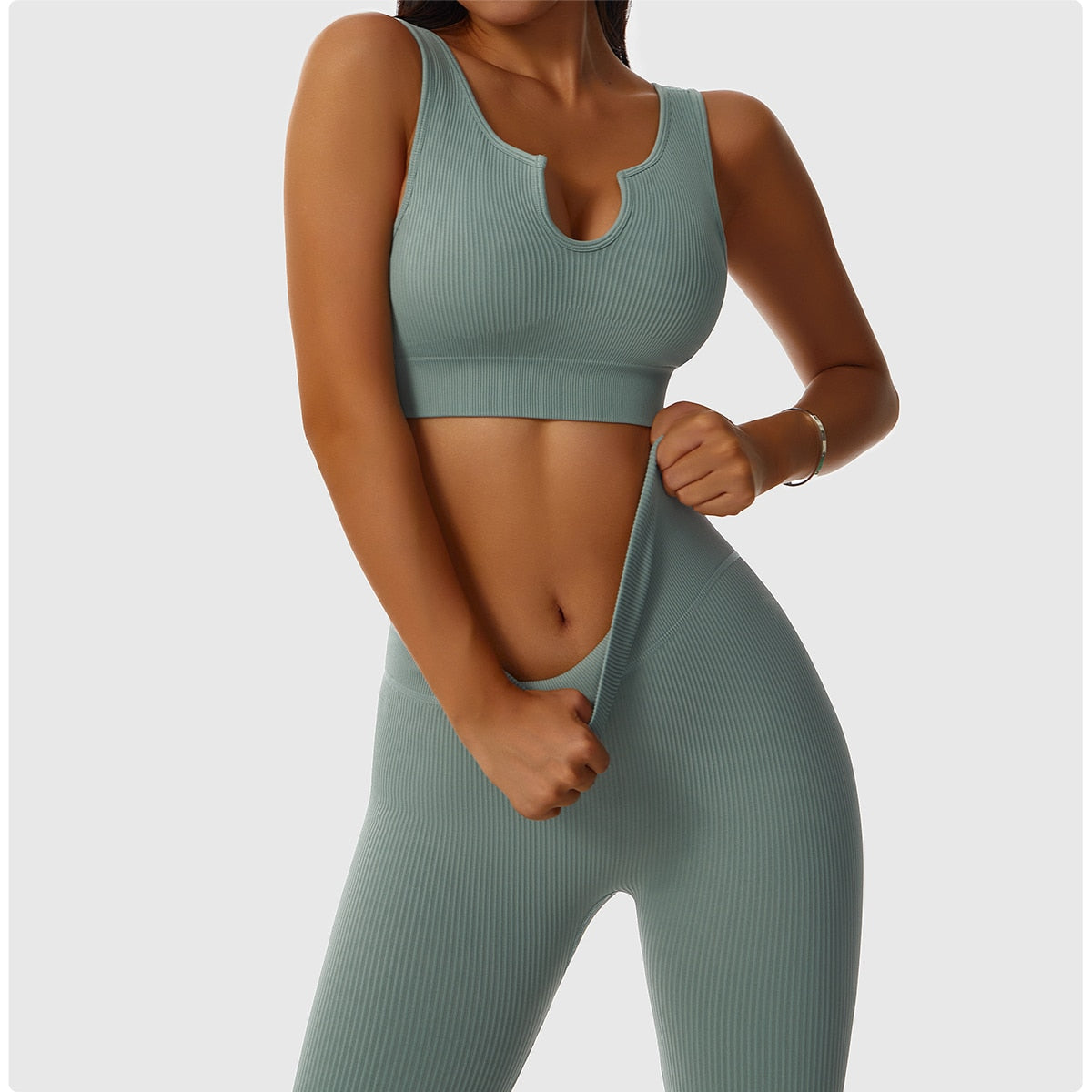 2 Piece Seamless Workout Set