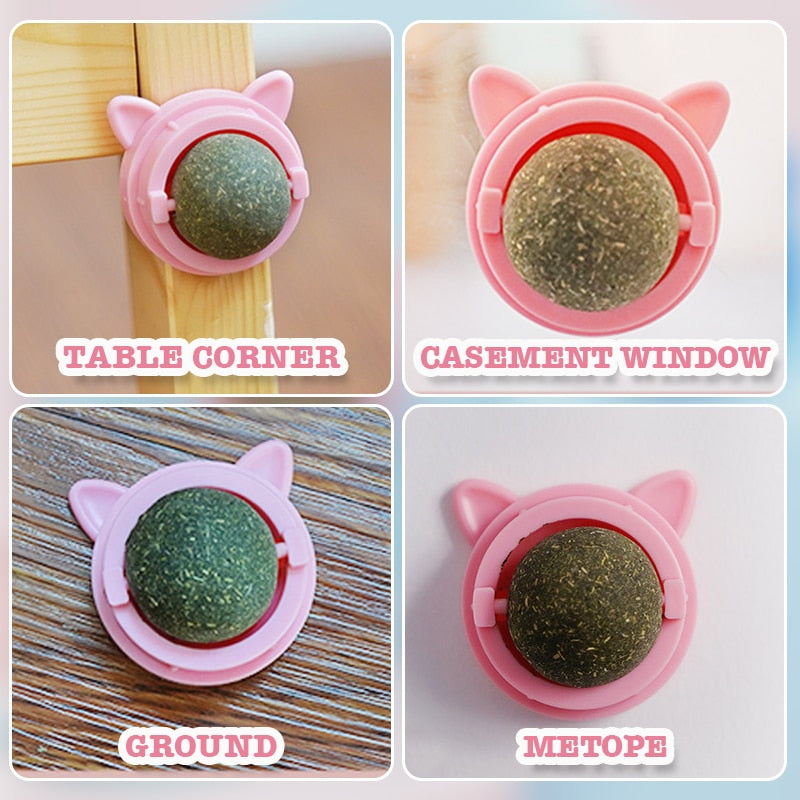 Catnip Wall Roller Ball