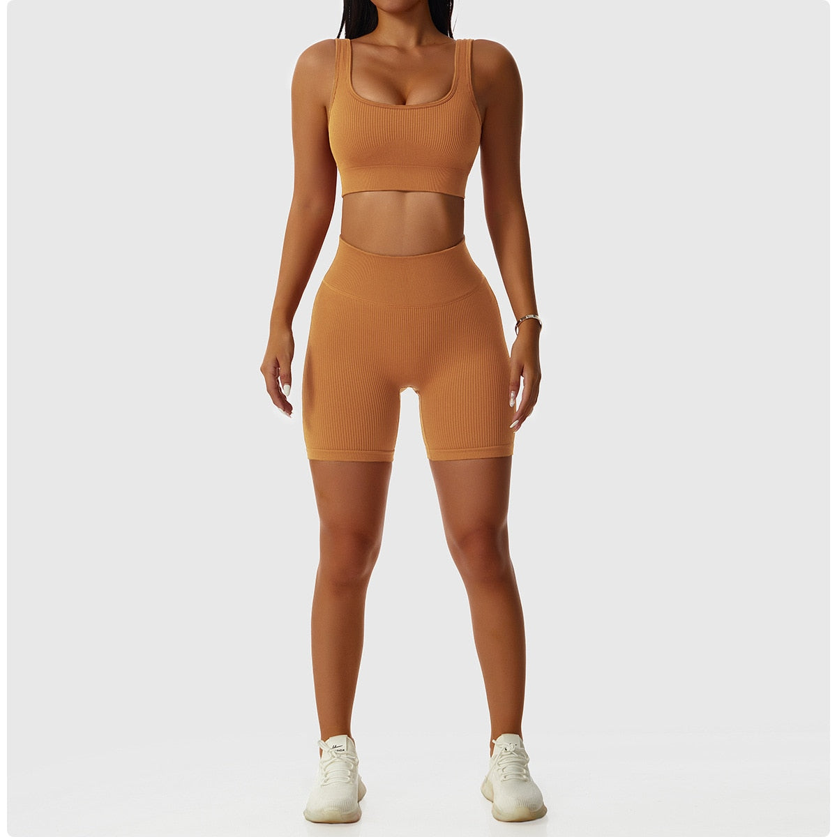 2 Piece Seamless Workout Set
