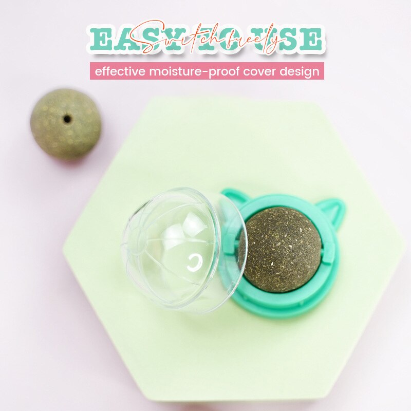 Catnip Wall Roller Ball