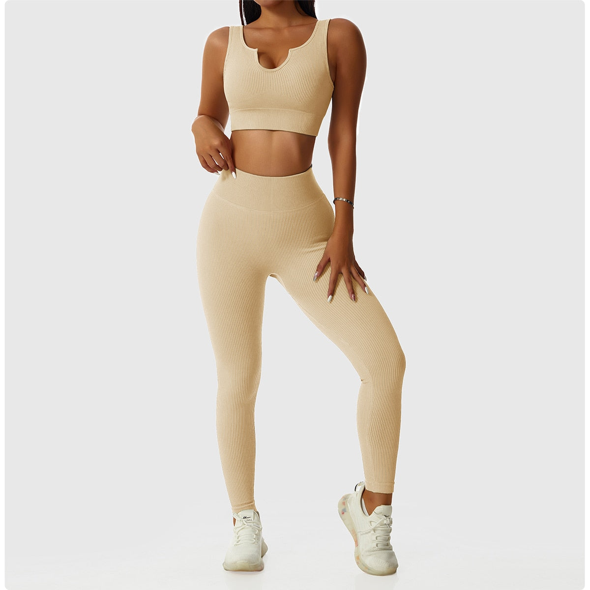 2 Piece Seamless Workout Set