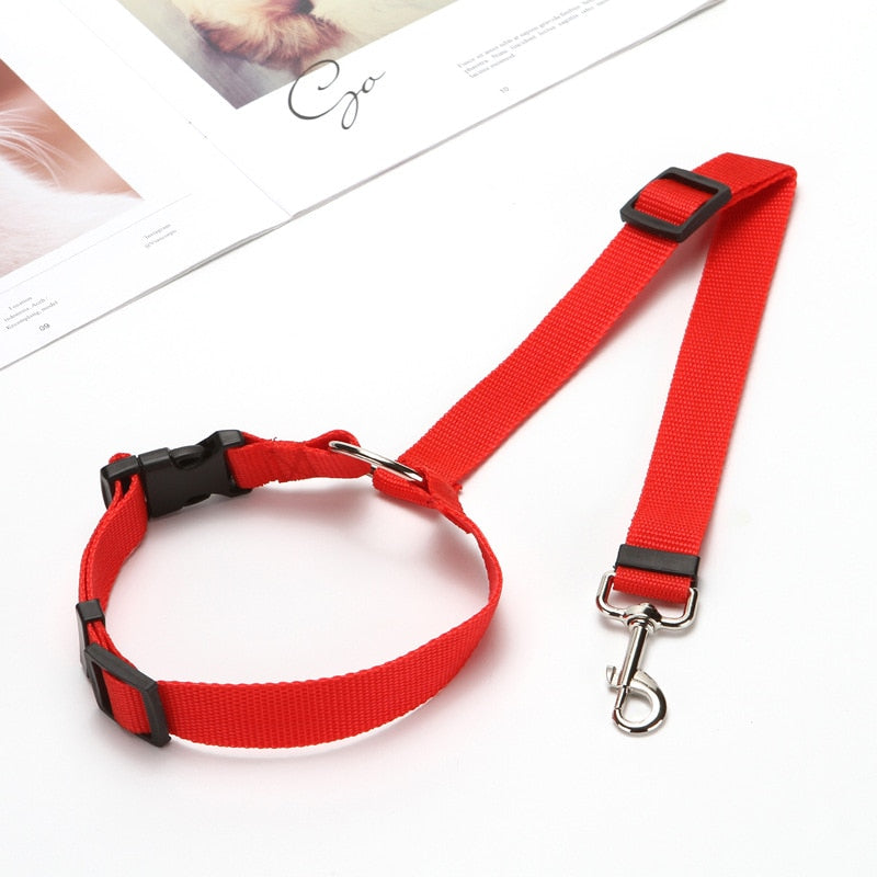 Two-in-one Pet Car Seat/Leash