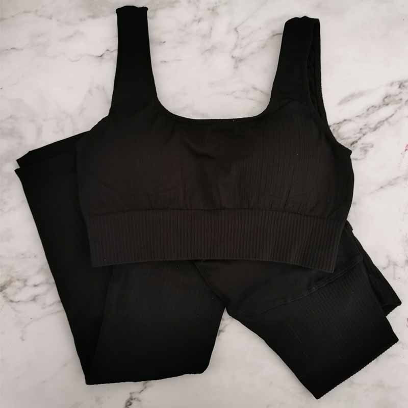 2 Piece Seamless Workout Set