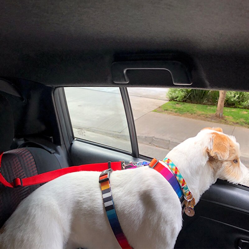 Two-in-one Pet Car Seat/Leash
