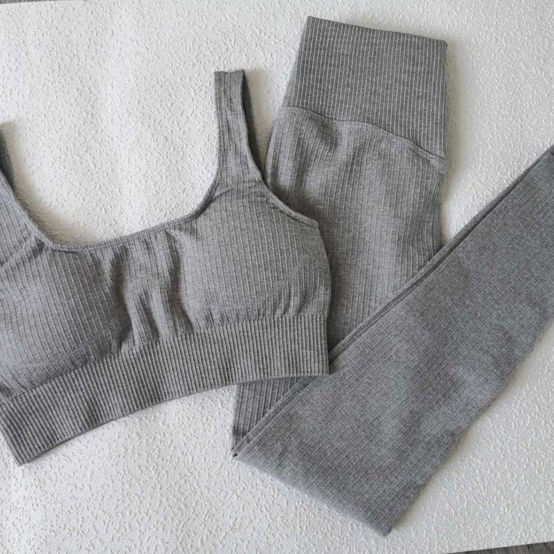 2 Piece Seamless Workout Set