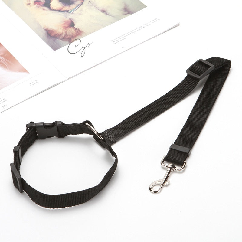 Two-in-one Pet Car Seat/Leash