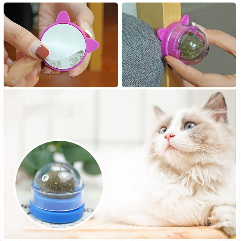 Catnip Wall Roller Ball