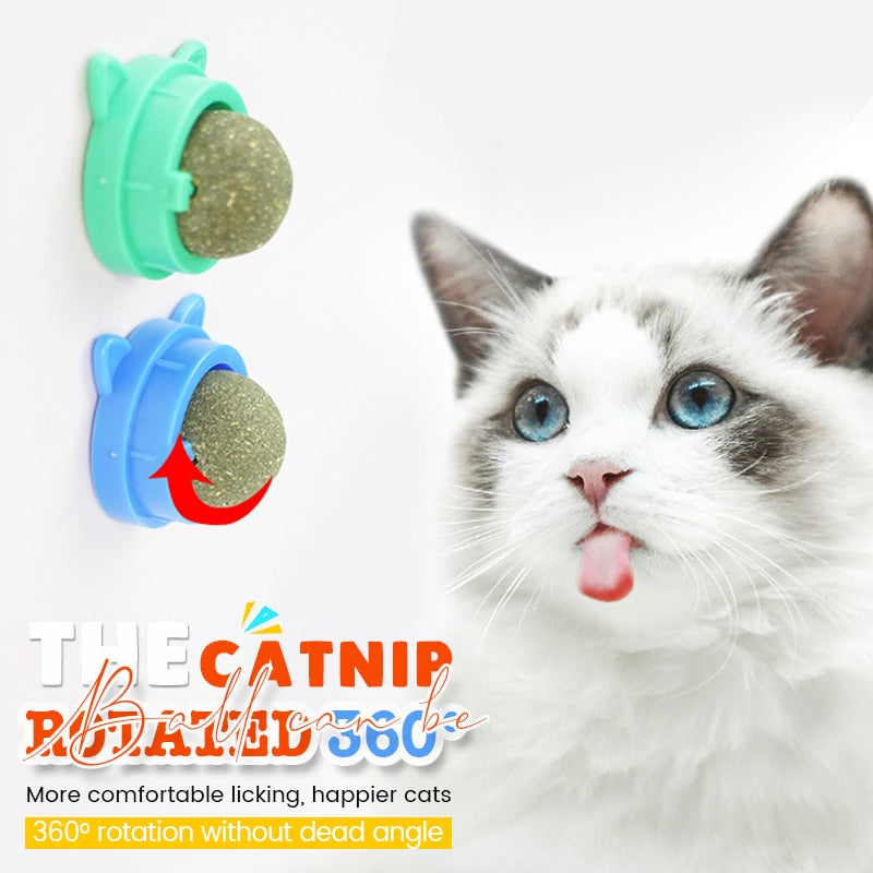 Catnip Wall Roller Ball