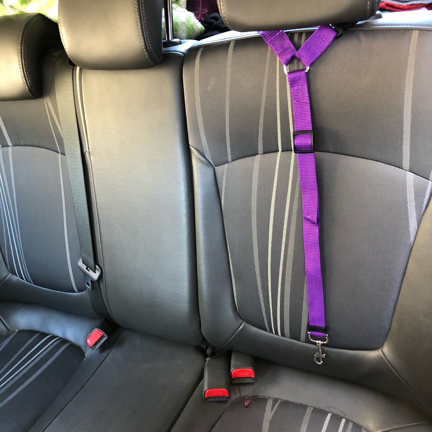 Two-in-one Pet Car Seat/Leash