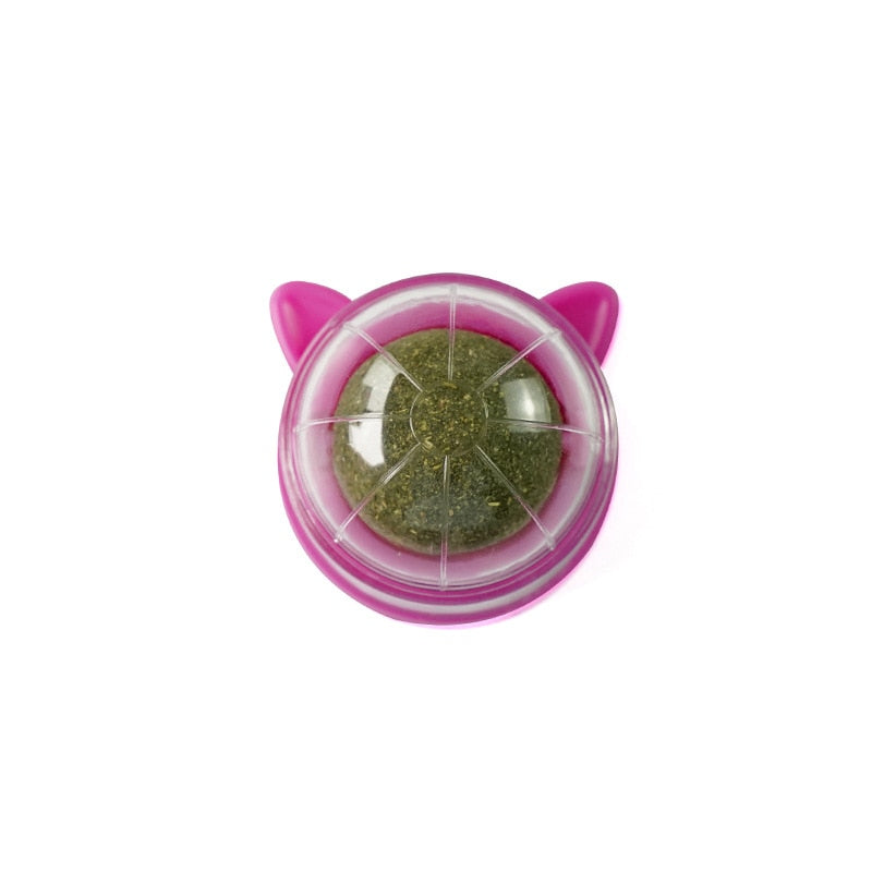 Catnip Wall Roller Ball