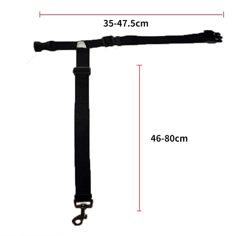 Two-in-one Pet Car Seat/Leash