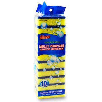 Scrubbing Sponge