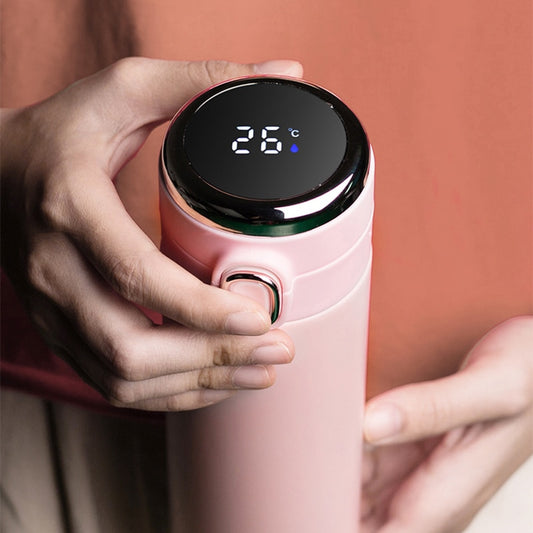 Stainless Steel Smart Temperature Display Thermos