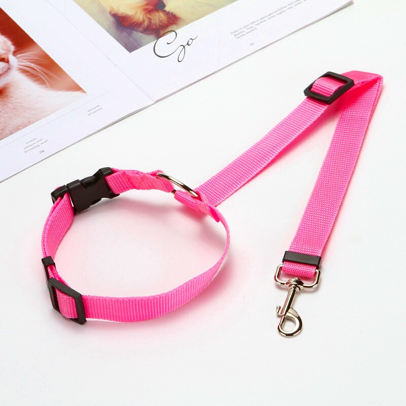 Two-in-one Pet Car Seat/Leash